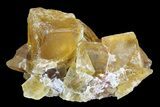 Lustrous Yellow Cubic Fluorite Crystal Cluster - Morocco #84245-1